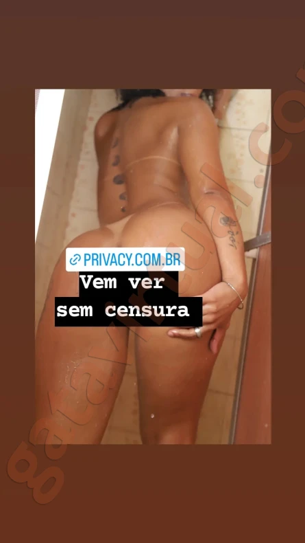 Víbora