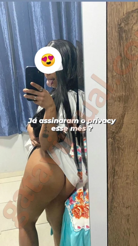 Víbora