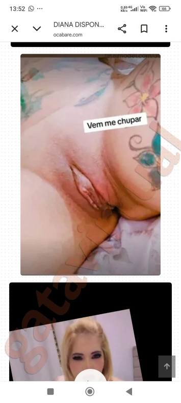 DIANA DISPONÍVEL