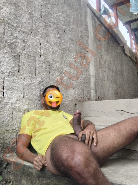 CAVALO PAU GROSSO