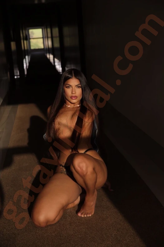 Dani