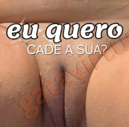 Cachorro safado